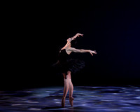 Olga Pavlova_The Dying Swan-3849