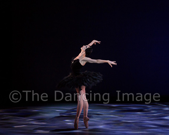 Olga Pavlova_The Dying Swan-3849