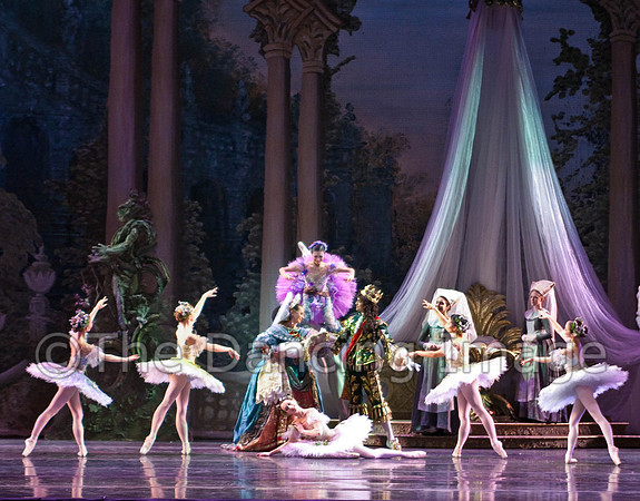 TB Sleeping Beauty Wed.-2