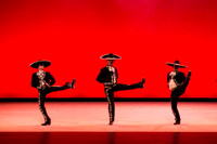 Mosaic Dance Project-0316