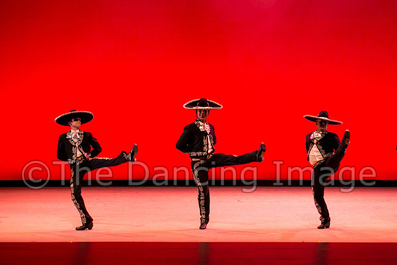 Mosaic Dance Project-0316