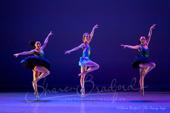 Circus Alius - pc Sharen Bradford-0558
