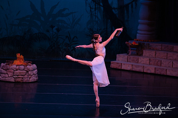 TDC La Bayadere pc Sharen Bradford-2574