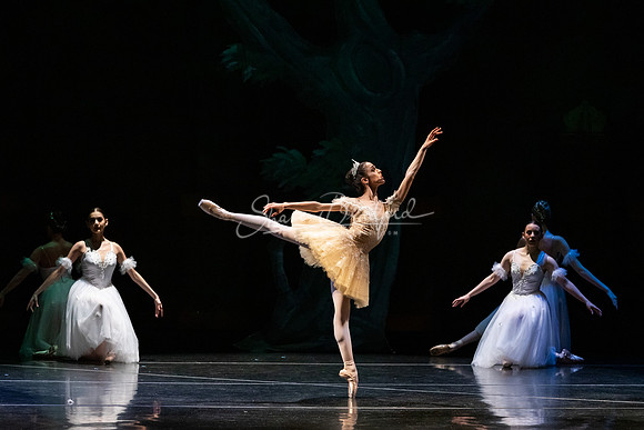 Ballet NTX Sleeping Beauty pc Sharen Bradford-1423