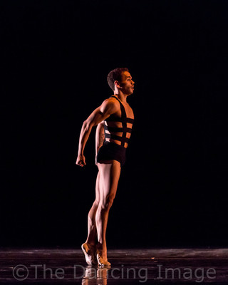 Growth_Albert Drake-2378