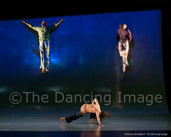 Motionhouse SCATTERED-0197