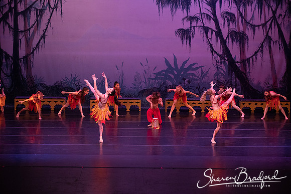 TDC La Bayadere pc Sharen Bradford-3015