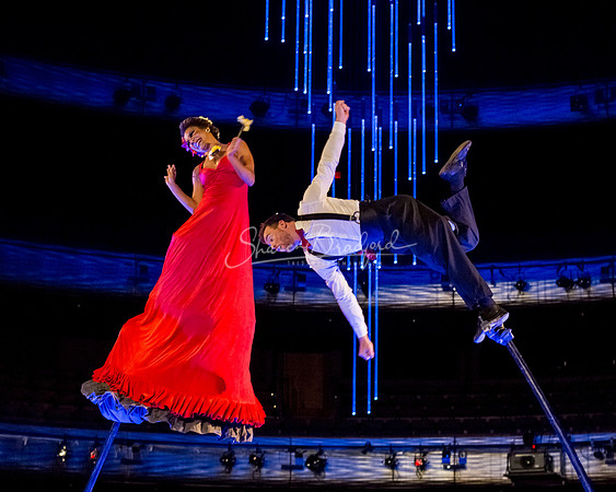 Swoon pc Sharen Bradford-8847