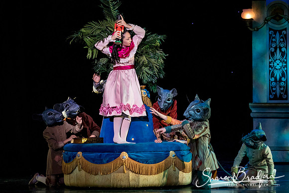 Nutcracker matinee pc Sharen Bradford-4749