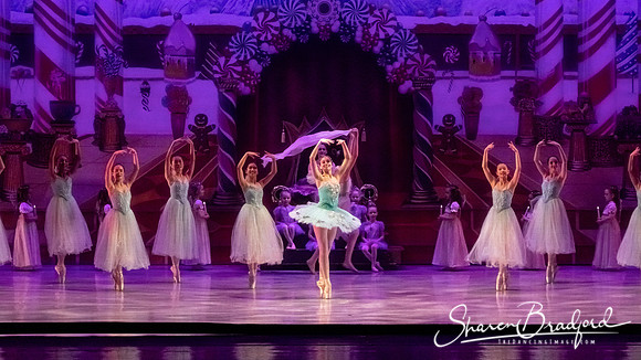CCBT Nutcracker 19 pc Sharen Bradford-5282