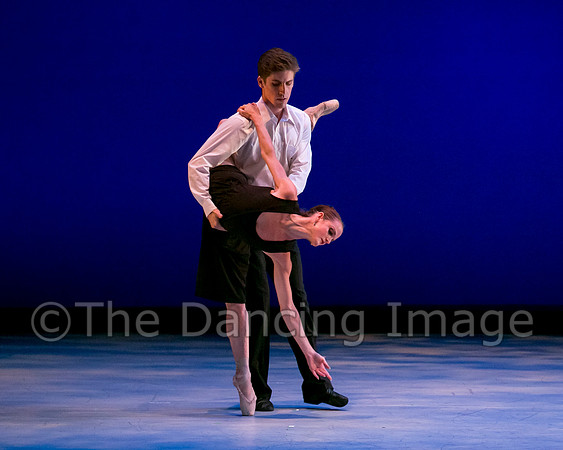 Avant Chamber Ballet DDF-3191