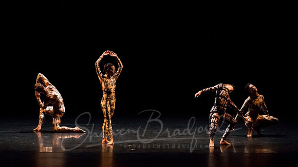 Petronio Dance_Hardness 10_ pc Sharen Bradford-7355