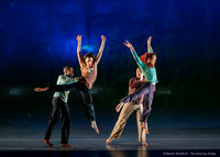 Motionhouse SCATTERED-0184