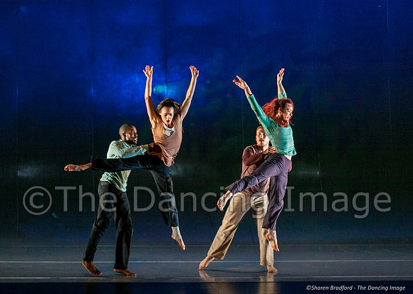 Motionhouse SCATTERED-0184