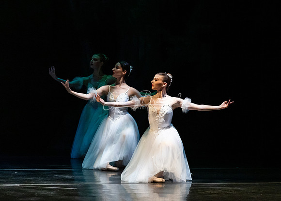 Ballet NTX Sleeping Beauty pc Sharen Bradford-1418