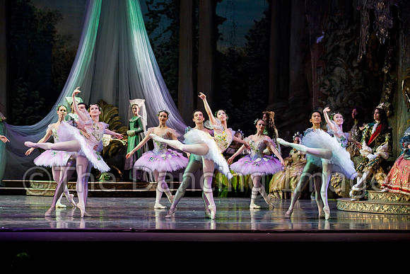 TB Sleeping Beauty Wed.-0128