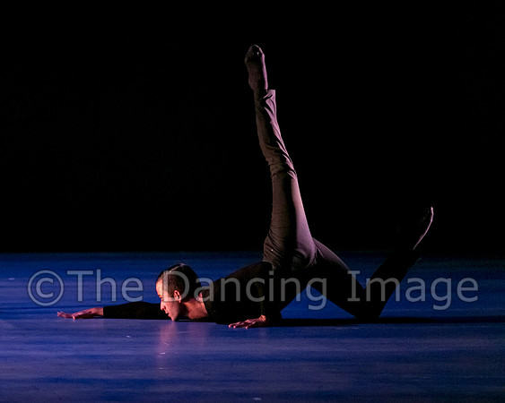 Chado Danse-2819