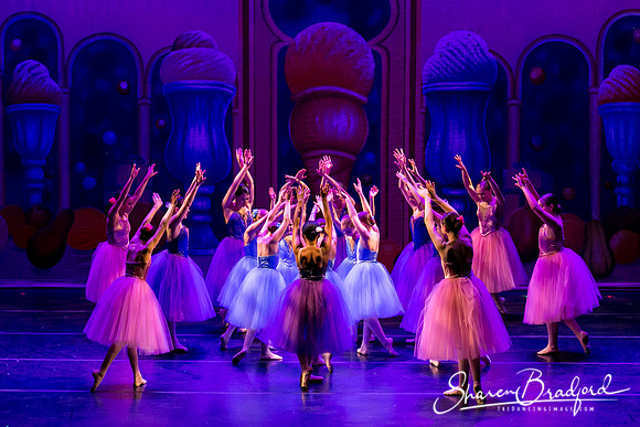 Waltz of the Flowers pc Sharen Bradford-1743