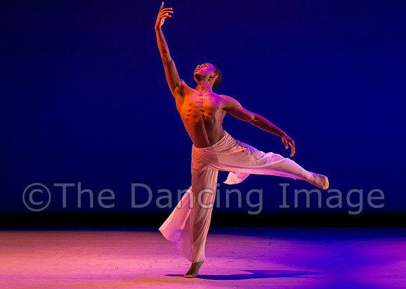 Jared Brown-4837