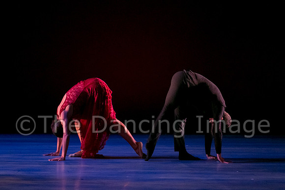 Chado Danse-2830