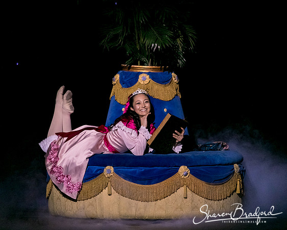 Nutcracker matinee pc Sharen Bradford-5828