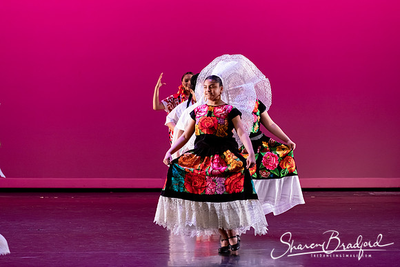 Mujer Oaxaquena pc Sharen Bradford-40816