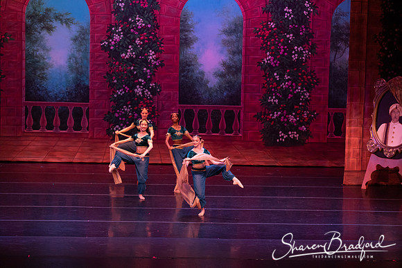 TDC La Bayadere pc Sharen Bradford-2726