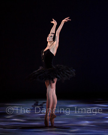 Olga Pavlova_The Dying Swan-3852