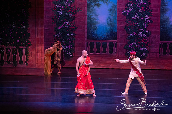 TDC La Bayadere pc Sharen Bradford-2796
