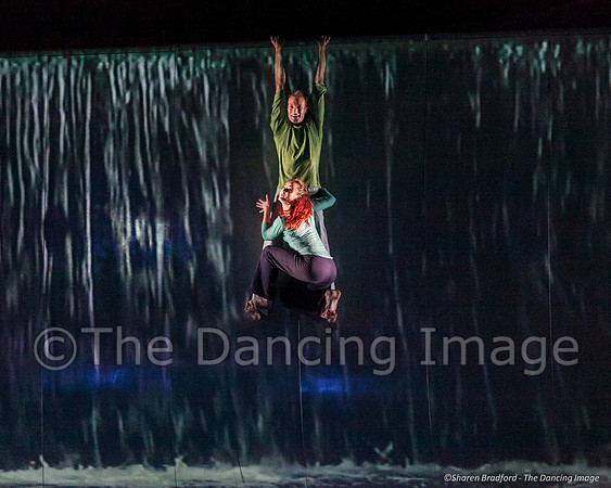 Motionhouse SCATTERED-0428