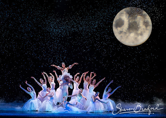 Nutcracker matinee pc Sharen Bradford-5267