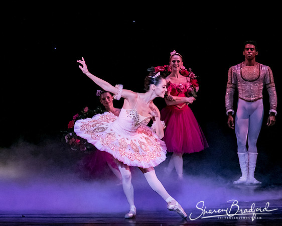 Nutcracker matinee pc Sharen Bradford-5313