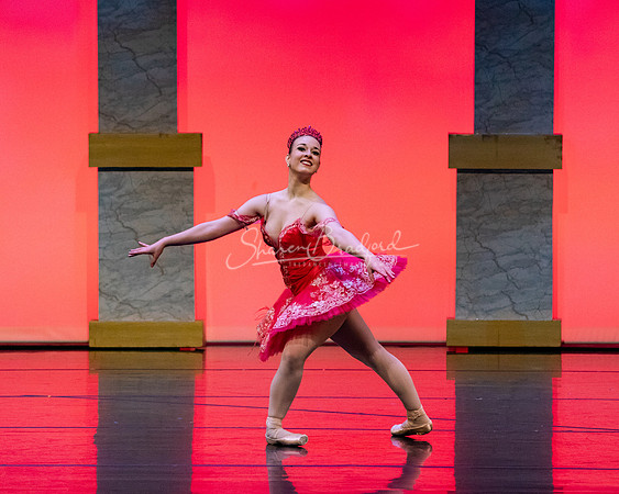 Ballet NTX Sleeping Beauty pc Sharen Bradford-0157