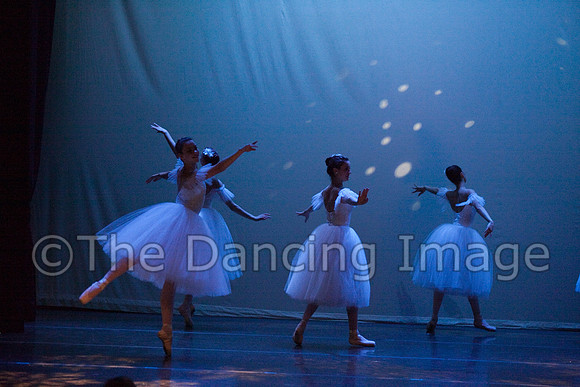 TBT PACE 09-0095