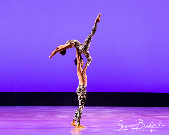 Ballet 37 pc Sharen Bradford-0446