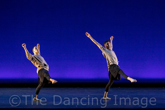 Coyotes Tip Toe-2623