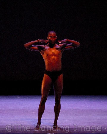 Alvin Ailey ADT-2345