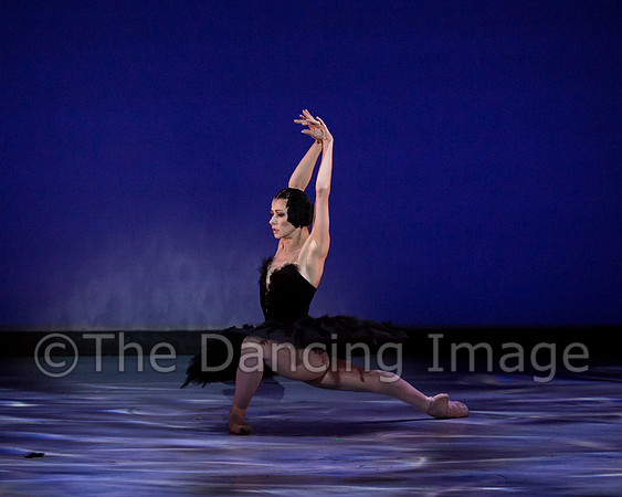 Olga Pavlova_The Dying Swan-3884