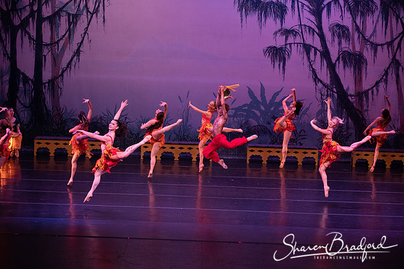 TDC La Bayadere pc Sharen Bradford-3021