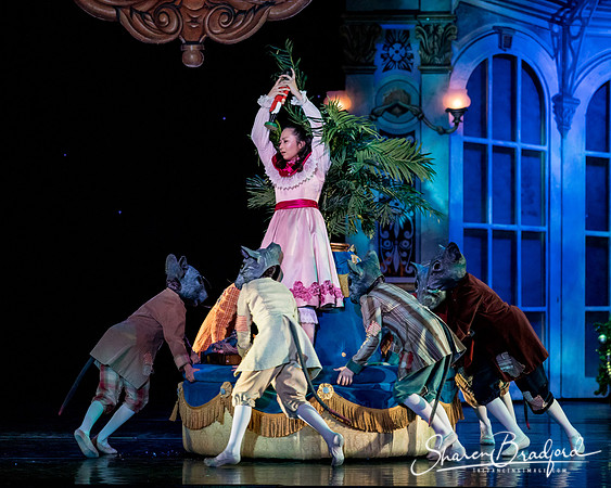 Nutcracker matinee pc Sharen Bradford-4720