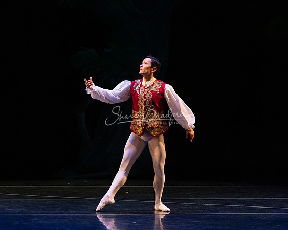 Ballet NTX Sleeping Beauty pc Sharen Bradford-1217