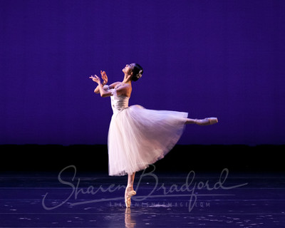 GISELLE TITAS CP 2015-0981