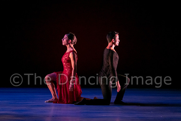 Chado Danse-2831
