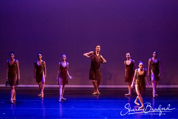 Ballet Dallas Seasons pc Sharen Bradford-1442