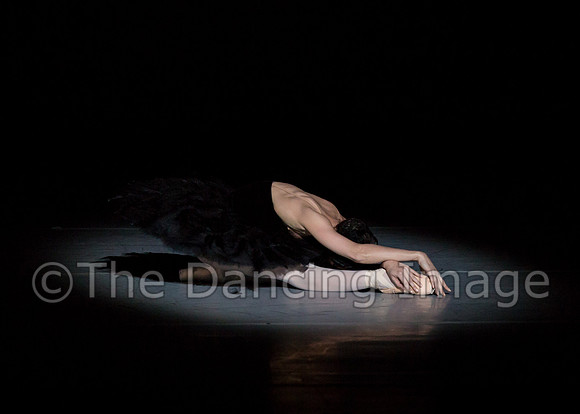 Olga Pavlova_The Dying Swan-3953
