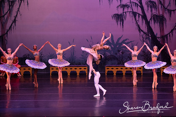 TDC La Bayadere pc Sharen Bradford-3138