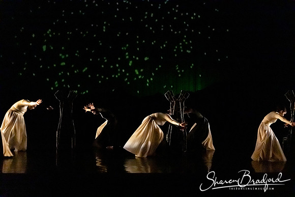 Luminous pc Sharen Bradford-40336