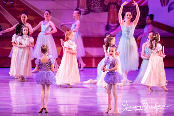 CCBT Nutcracker 19 pc Sharen Bradford-5316
