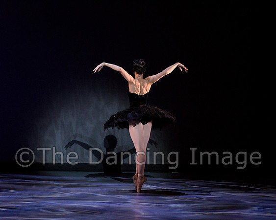 Olga Pavlova_The Dying Swan-3831