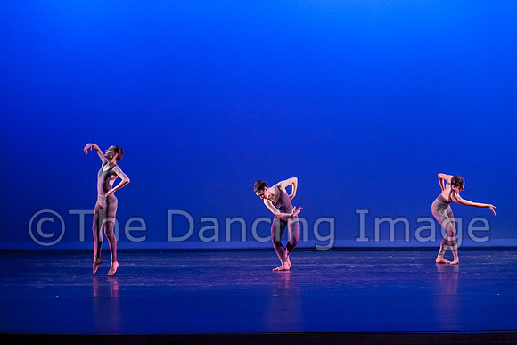 IMG_9248